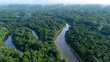 The Amazon river flowing in the middle of an endless sea of green forest